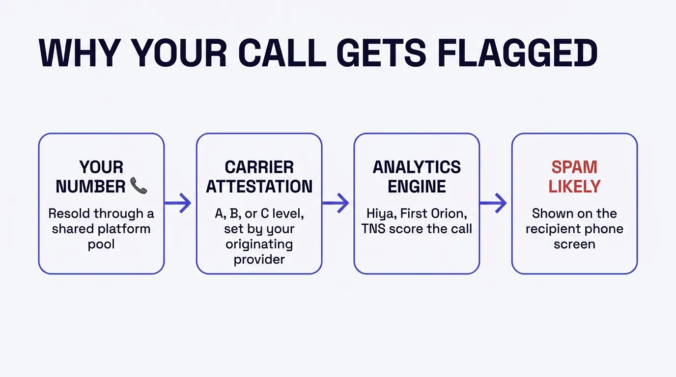 Infographic titled Why Your Call Gets Flagged showing a four-step flow: step one, Your Number, resold through a shared platform pool; step two, Carrier Attestation, A, B, or C level, set by your originating provider; step three, Analytics Engine, Hiya, First Orion, and TNS score the call; step four, Spam Likely, shown in red text on the recipient's phone screen
